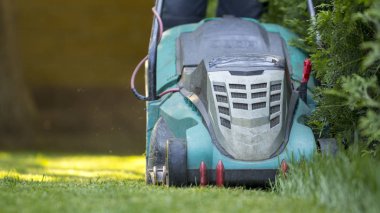 Çim biçme makinesi arka bahçede yeşil çim biçiyor..