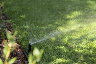 Otomatik fıskiye sistemi yeşil çimlerin arka planında çimenleri suluyor, yakın plan
