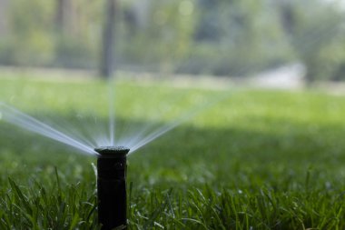 Otomatik fıskiye sistemi yeşil çimlerin arka planında çimenleri suluyor, yakın plan