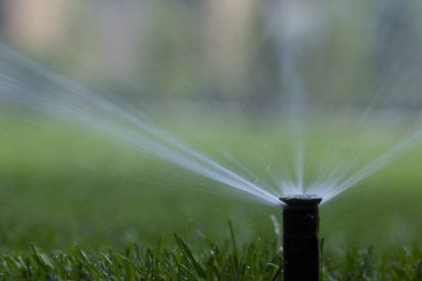 Otomatik fıskiye sistemi yeşil çimlerin arka planında çimenleri suluyor, yakın plan
