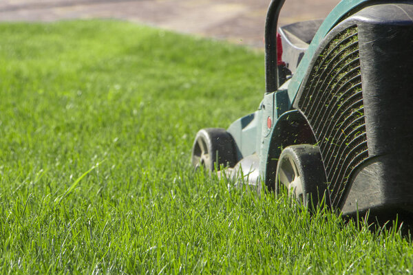 Lawn mower cutting green grass in backyard.Gardening background.
