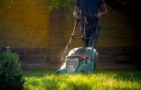 Cortador Grama Cortando Grama Verde Backyard Gardening Fundo — Fotografia de Stock