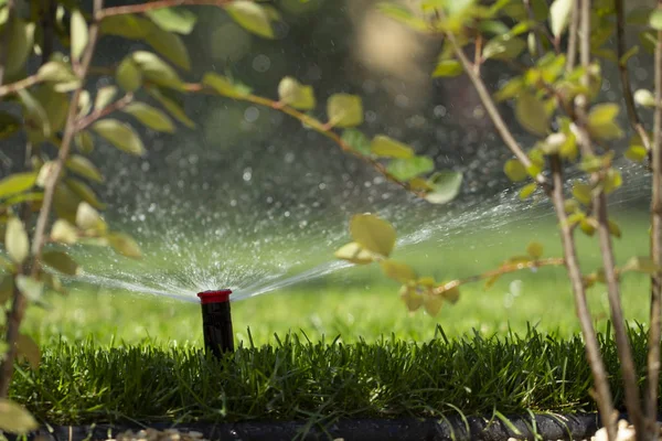 緑の草を背景に芝生に散水する自動散水システム クローズアップ — ストック写真
