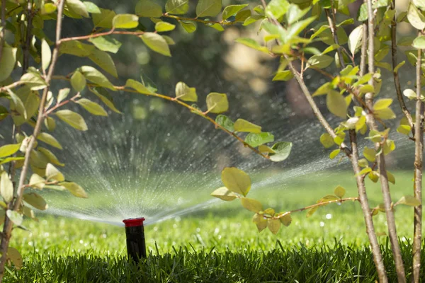 緑の草を背景に芝生に散水する自動散水システム クローズアップ — ストック写真