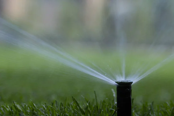 Automatisk Sprinklersystem Vattna Gräsmattan Bakgrund Grönt Gräs Närbild — Stockfoto