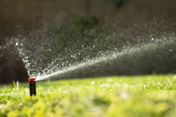 緑の草を背景に芝生に散水する自動散水システム クローズアップ — ストック写真