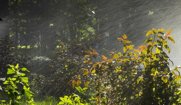 緑の草を背景に芝生に散水する自動散水システム クローズアップ — ストック写真