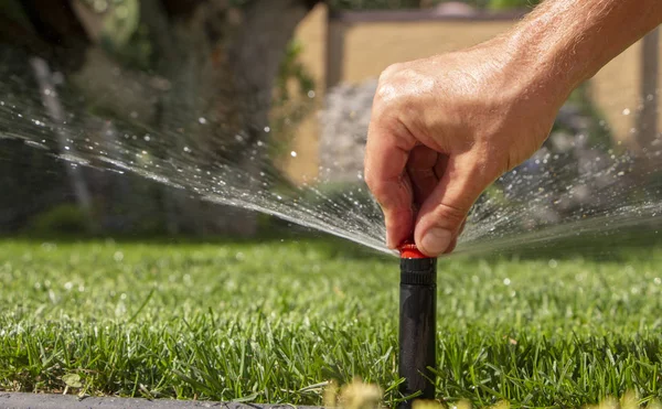 Automatic Sprinkler System Watering Lawn Background Green Grass Close — Stock Photo, Image