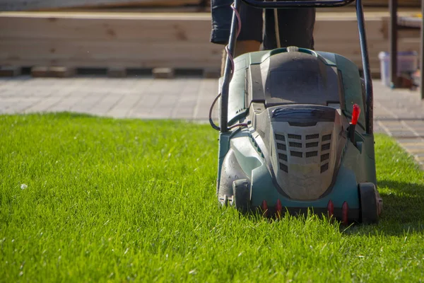 Grasmaaier Maaien Groen Gras Achtertuin Tuinieren Achtergrond Stockfoto