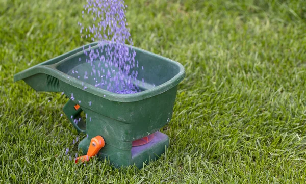 Manual Fertilizing Lawn Back Yard Spring Time Close — Stock Photo, Image