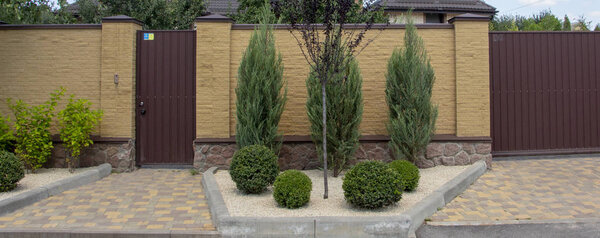 Modern garden design Coniferous plants in the garden.