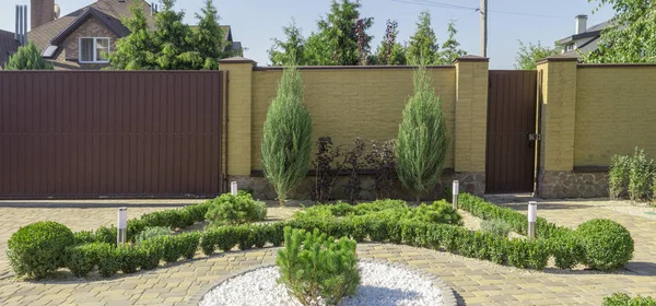 モダンなガーデン デザイン庭の針葉樹植物 — ストック写真