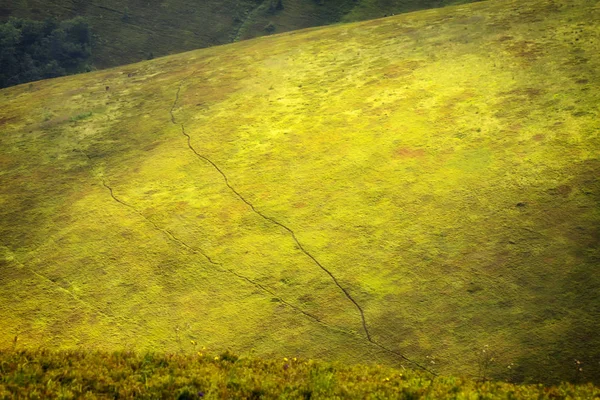 Molnigt Väder Ukrainska Karpaterna Dimman Stiger Från Skogen — Stockfoto