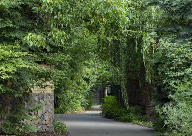 Çok dar kırsal sokak içinde Köyü, Stary Petrovtsi, Kiev region, Ukrayna.