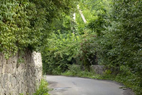 Zeer Smalle Landelijke Straat Het Dorp Van Stary Petrovtsi Regio — Stockfoto