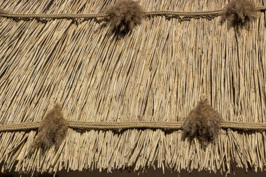 Satır, doku yakın kadar mimari eski Ukraynalı geleneğinde çatısı