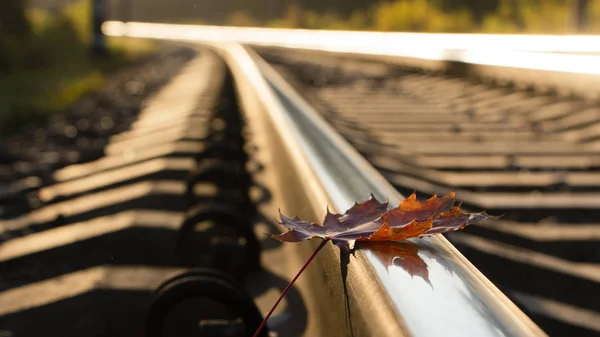 Feuille Érable Jaune Sur Vieux Rails Rouillés Concept Solitude Début — Photo