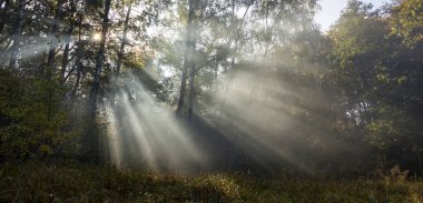 Güzel bir sonbahar yüzüyle sabah tazeliği, Şafak sökerken günlerin dallarından bir güneş ışığı geçiyor.