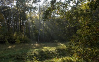 Güzel bir sonbahar yüzüyle sabah tazeliği, Şafak sökerken günlerin dallarından bir güneş ışığı geçiyor.