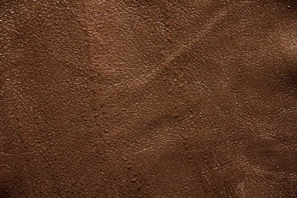 Textura Pele Castanha Material Natural Ecológico — Fotografia de Stock