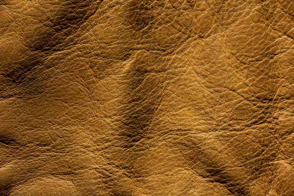 Textura Amarilla Material Natural Respetuoso Con Medio Ambiente —  Fotos de Stock