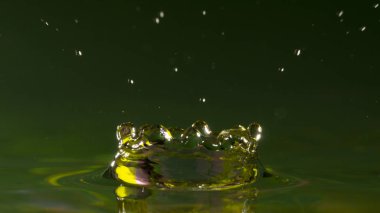 Seçici odak yağmur yağmaya içine su damlaları, yakın çekim