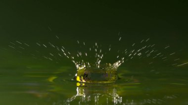 Seçici odak yağmur yağmaya içine su damlaları, yakın çekim