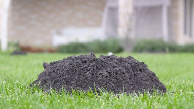 Benler nüfus görünümü güneşli tarafından yapılan'ın bahçesinde yeni öyle.