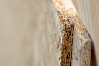 Ahşap osb paneli bastırdı. Arka plan doku ahşap Osb Yönetim Kurulu popo biter yığılmış, yakın çekim.