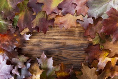 Ahşap masa arka plan çerçevesinde sonbahar sonbahar yaprakları.
