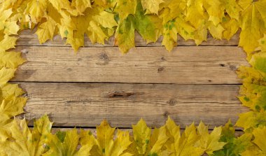 Ahşap masa arka plan çerçevesinde sonbahar sonbahar yaprakları.