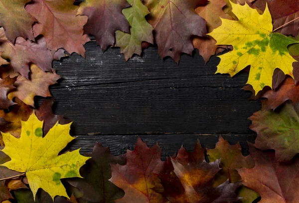 Herfstbladeren Houten Tafel Achtergrond Frame Van Herfst — Stockfoto