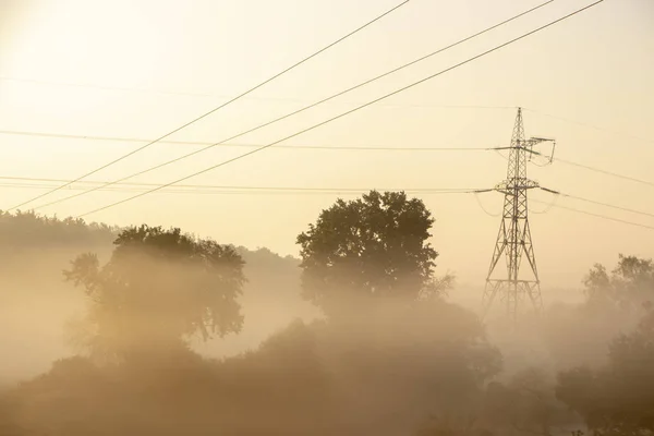 High voltage electricity transfer lines and pylon in a foggy morning