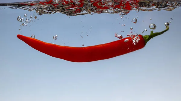 Красный Острый Перец Чили Воде Брызги Голубой Bacground Близко — стоковое фото