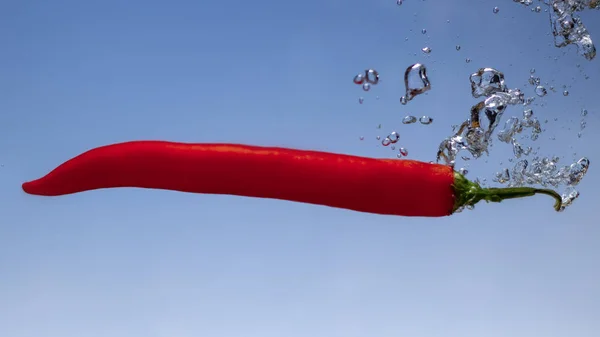 Красный Острый Перец Чили Воде Брызги Голубой Bacground Близко — стоковое фото