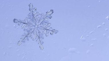 Güzel kar tanesi üzerinde açık mavi renkli yakın çekim