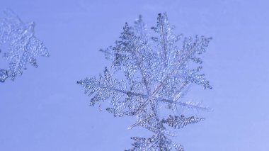 Güzel kar tanesi üzerinde açık mavi renkli yakın çekim