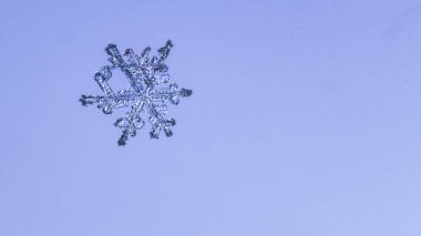 Güzel kar tanesi üzerinde açık mavi renkli yakın çekim