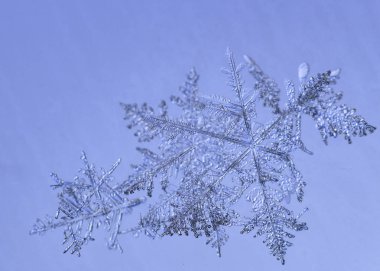 Güzel kar tanesi üzerinde açık mavi renkli yakın çekim