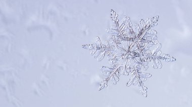 Güzel kar tanesi üzerinde açık mavi renkli yakın çekim