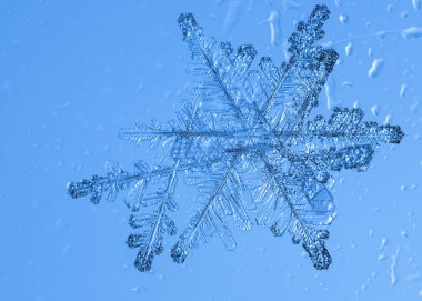 Güzel kar tanesi üzerinde açık mavi renkli yakın çekim