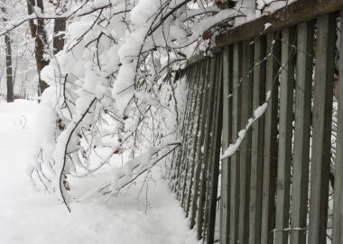 karla kaplı tahta eski yeşil çit. Kırsal, kasvetli kış günü
