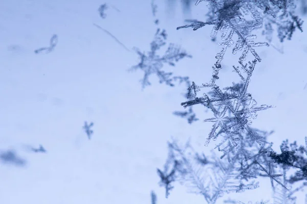 Superbe Flocons Neige Sur Fond Bleu Clair Gros Plan — Photo