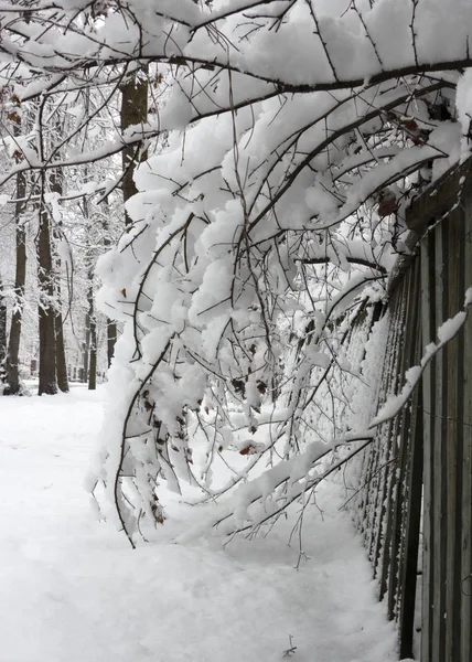 Staré Dřevěné Zasněžené Dřevěné Desce Oblačných Zimních Den Pozadí — Stock fotografie