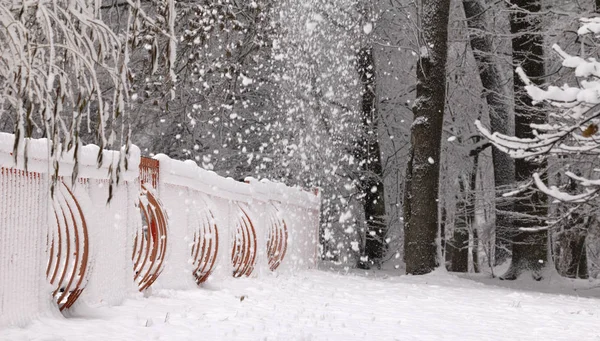 Alte Hölzerne Schneebedeckte Holzbrett Auf Einem Bewölkten Wintertag Hintergrund — Stockfoto
