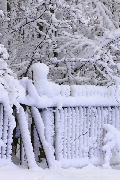 Vecchia Tavola Legno Coperta Neve Una Nuvolosa Giornata Invernale — Foto Stock