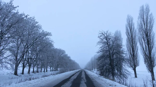 Pokryte Śniegiem Pustą Asfaltową Szron Drzew Obu Stronach Tło — Zdjęcie stockowe