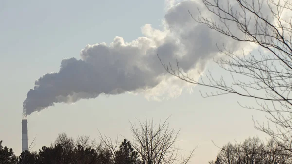 Kirliliği Mavi Gökyüzü Endüstriyel Baca Dan Duman — Stok fotoğraf