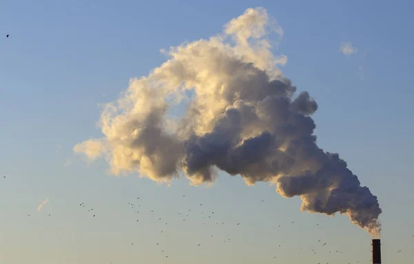 Vervuiling Roken Van Fabrieksschoorstenen Tegen Blauwe Hemel — Stockfoto