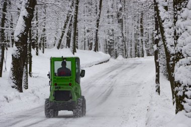 kar makinesi, yeşil traktör kar kar orman arka planda temizler.